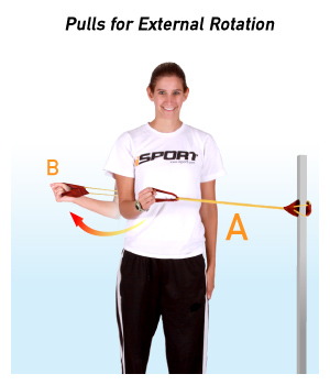 Why All Swimmers NEED To Use Resistance Bands