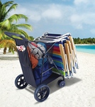 Beach Carts