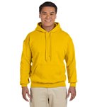 Arena USA Swimming Hooded Sweatshirt at SwimOutlet.com - Free Shipping