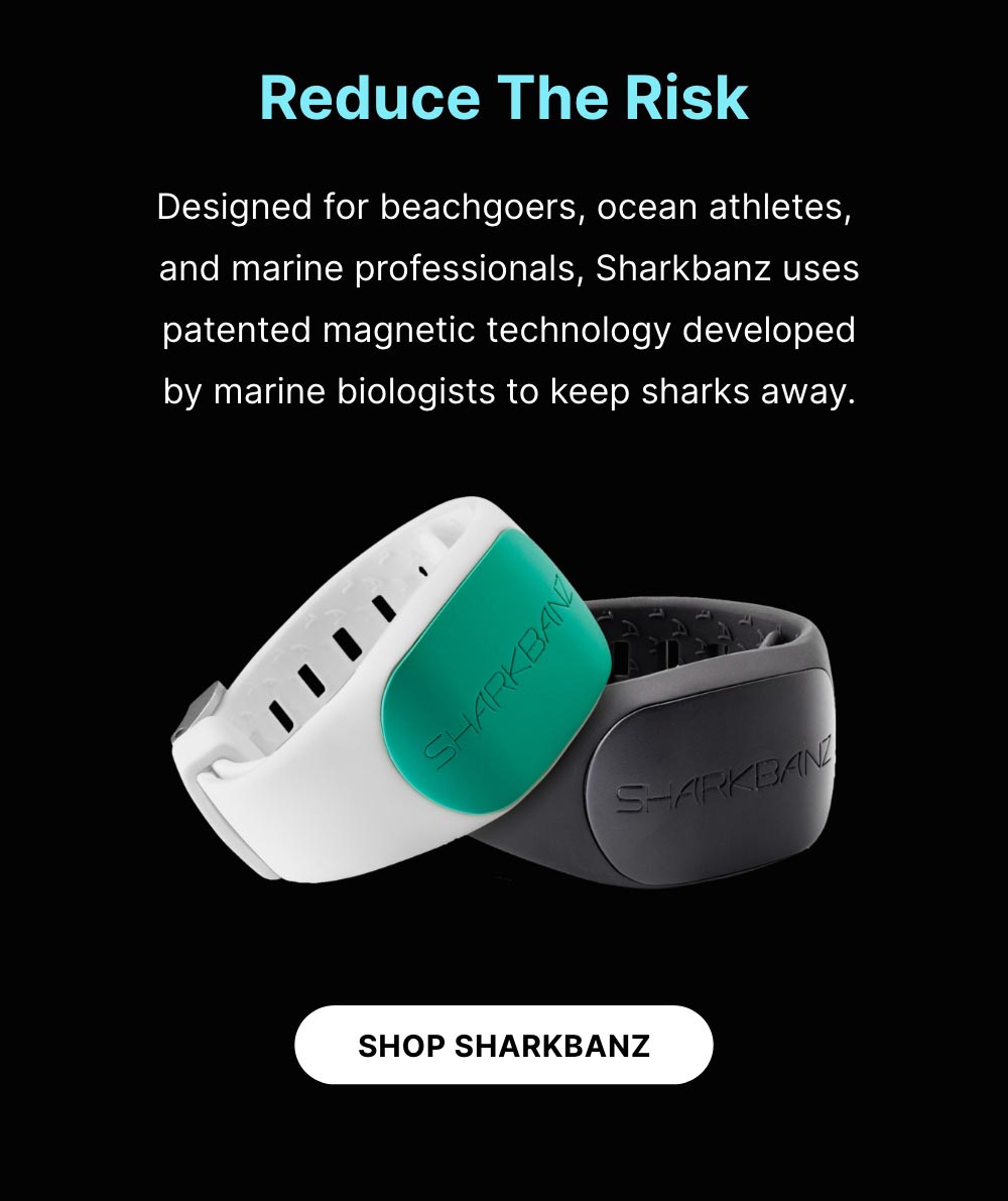 Shop Sharkbanz